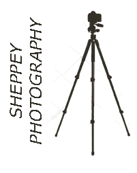 Swale Photography Logo